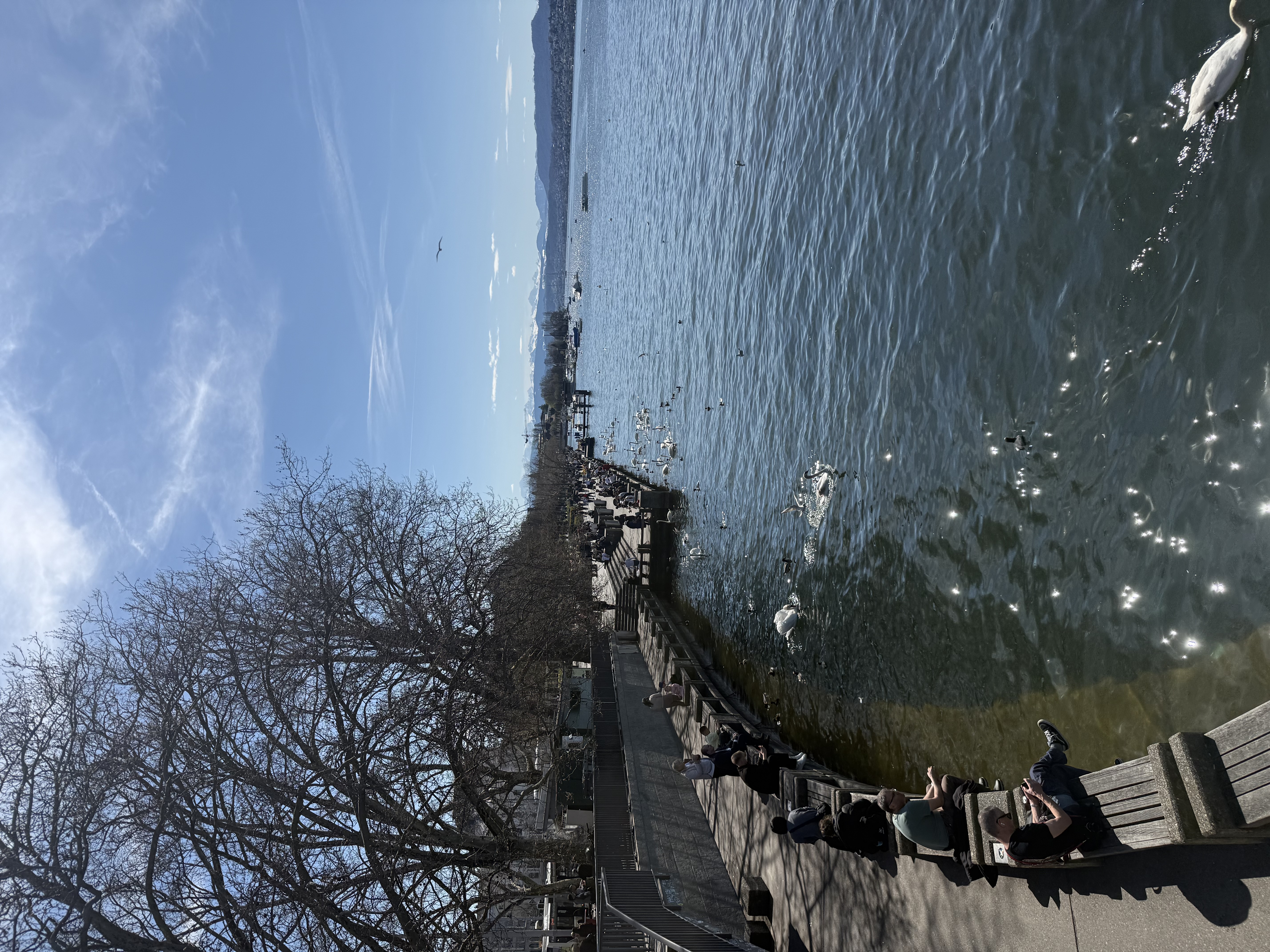 Lake Zürich
